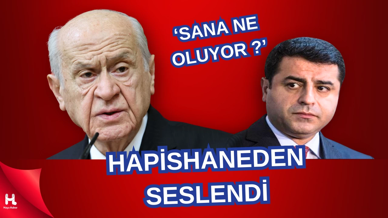 HAPİSHANE‘DEN DEVLET BAHÇELİYE SESLENDİ! İYİ DE SANA NE OLUYOR SELO ?