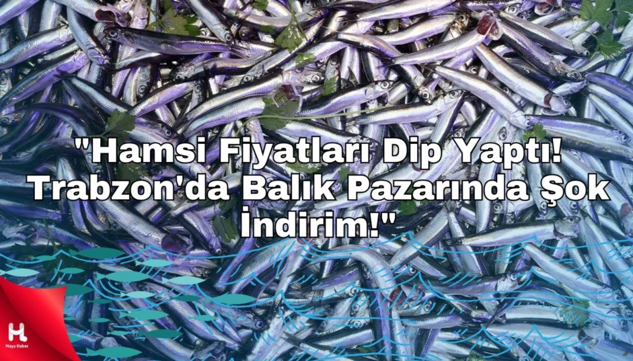 Hamsinin fiyatı düşerken, balık tezgahlarında fiyatlar hızla geriliyor