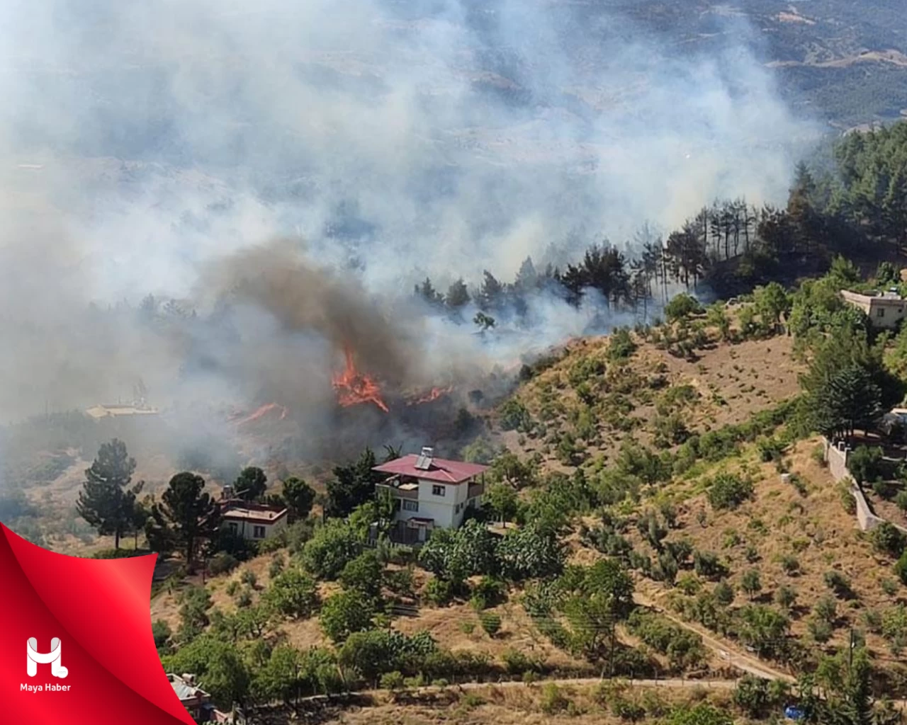 Kahramanmaraş'ta Kontrol Altına Alınamayan Orman Yangını Korkuttu