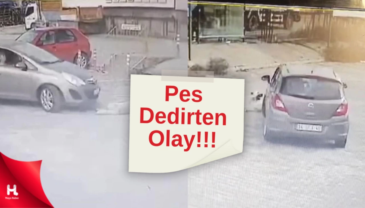 Pes Dedirten Olay! Sürücü Köpeği Ezdi ve Sonrasında Olanlar Şaşırttı!