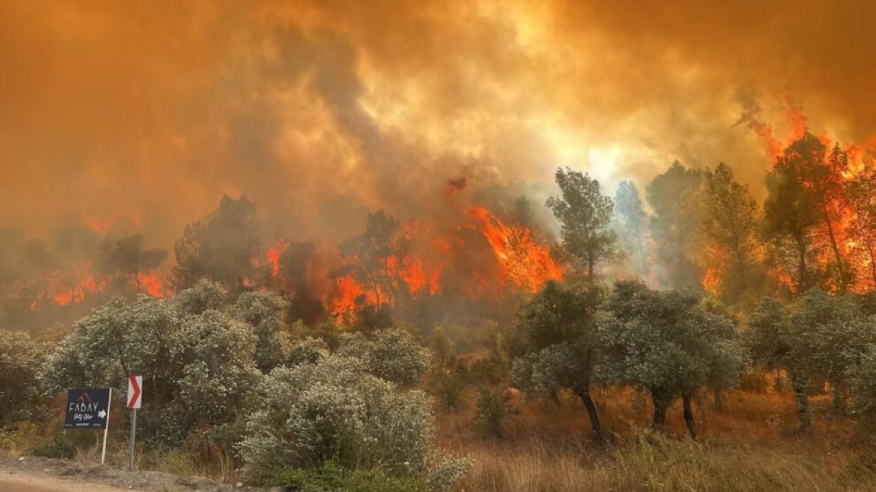 Bakan Yumaklı, helikopterlerin yangın esnasında kalkış  yapmadığını doğruladı.