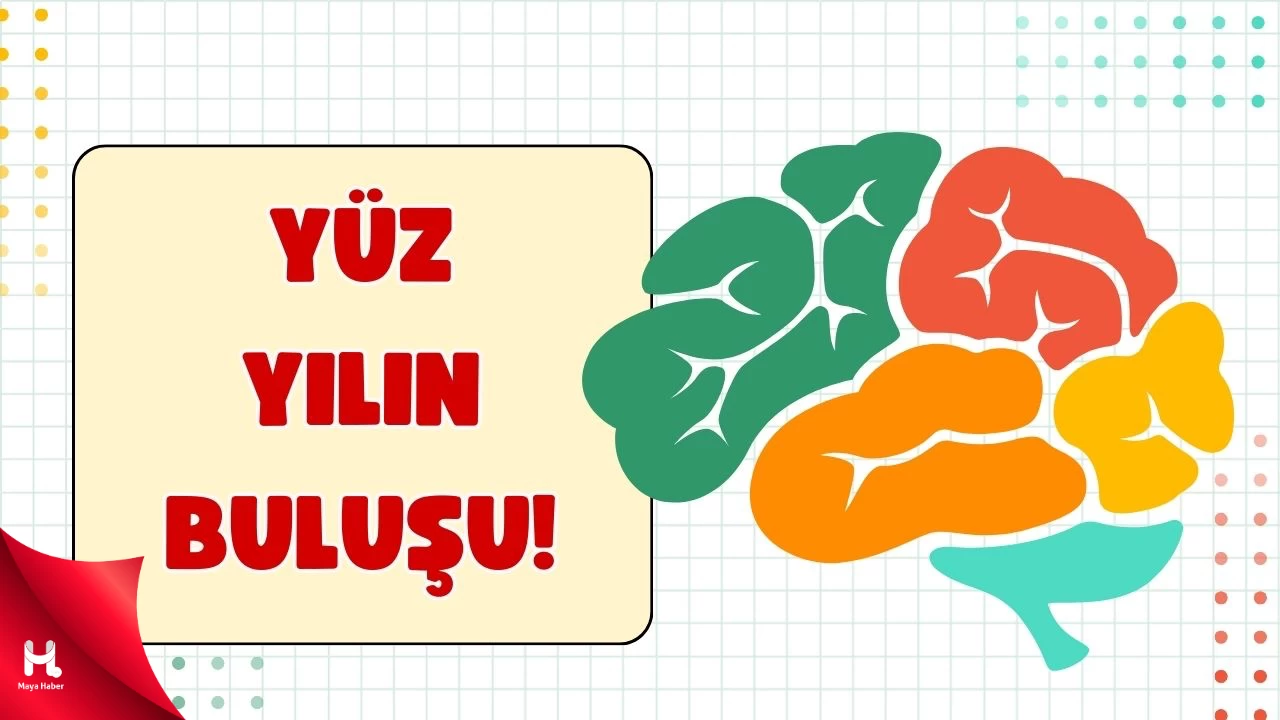 Kalpte 'mini beyin' keşfedildi! Yeni Tedavi Yöntemlerine...