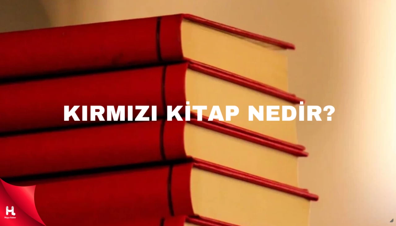 Kırmızı Kitap Nedir? Kitap Ne Zaman Hazır Olacak??