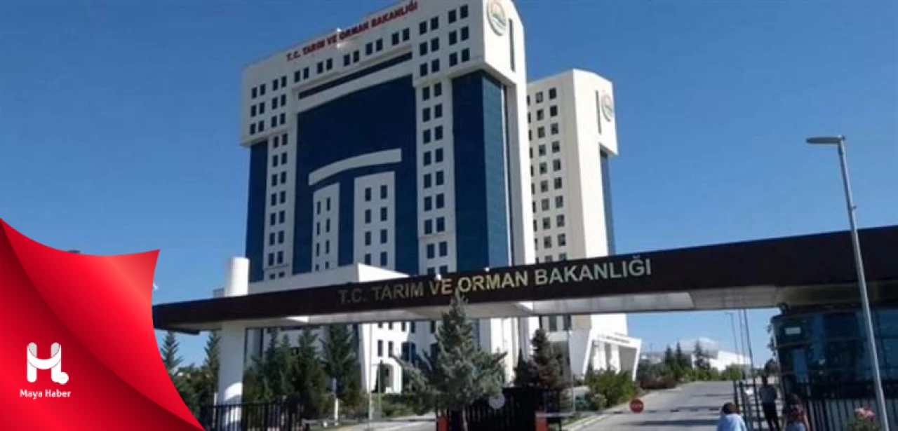 Tarım ve Orman Bakanlığı: Pestisit kullanım oranında...