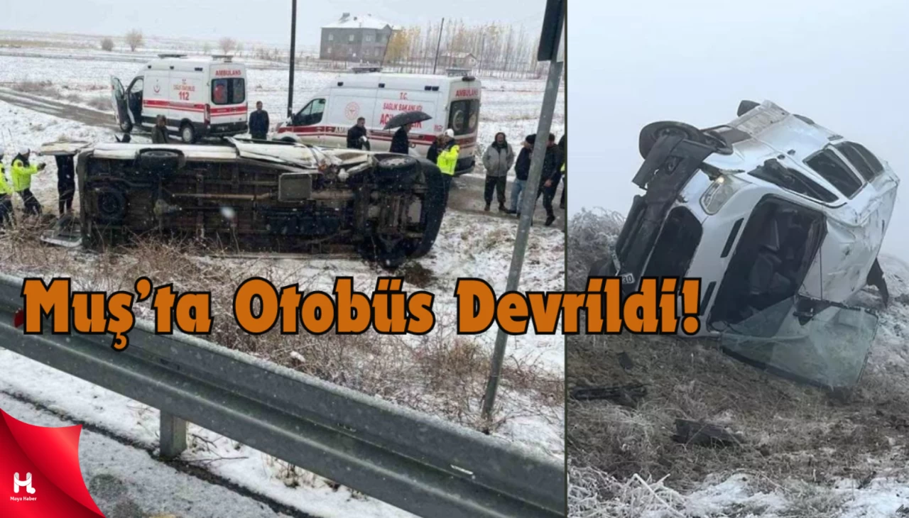 Muş'ta öğretmenleri taşıyan minibüs devrildi: Yaralılar var