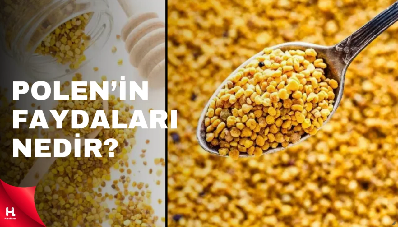 Polen nasıl yenir, tüketilir? Polenin faydaları nelerdir?