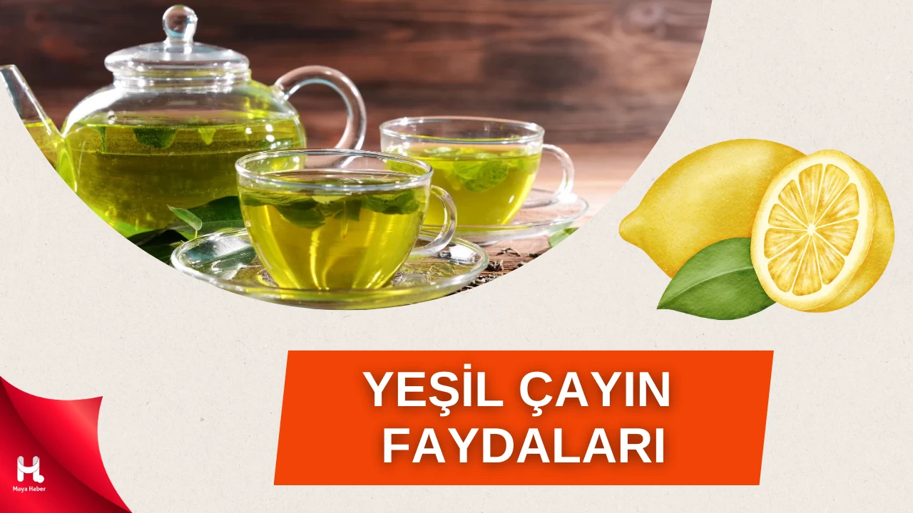 Kışın Sağlık Desteğiniz: Yeşil Çayın Türleri ve Faydaları