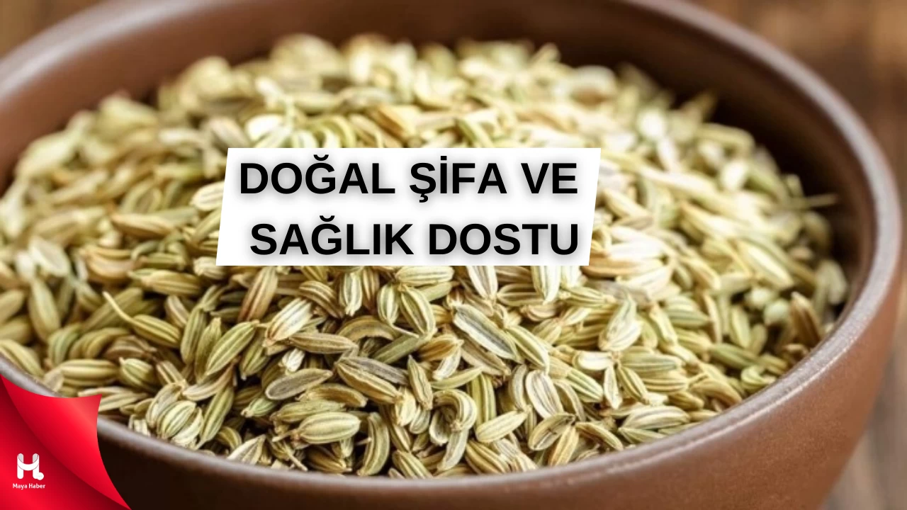 Rezene Tohumları: Doğal Şifa ve Sağlık Dostu