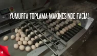 İzmir' in Foça İlçesinde Yumurta Toplama Makinesi Can Aldı!