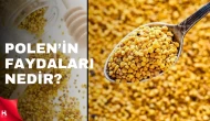 Polen nasıl yenir, tüketilir? Polenin faydaları nelerdir?