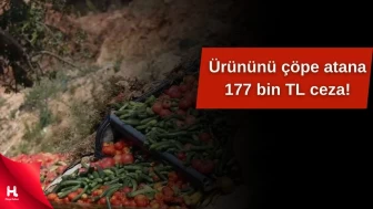 Fiyatını artırmak için ürününü çöpe atanlara ağır ceza geliyor