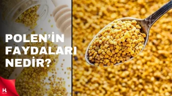 Polen nasıl yenir, tüketilir? Polenin faydaları nelerdir?