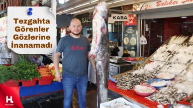 Oltaya Dev Av Takıldı, Tezgahta Görenler Gözlerine İnanamadı