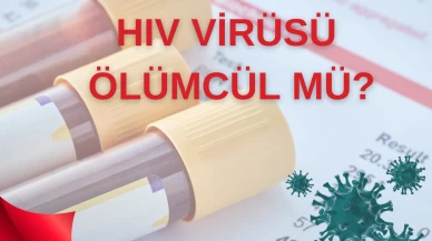 HIV Virüsü: Nedir, Nasıl Bulaşır ve Tedavi Yöntemleri