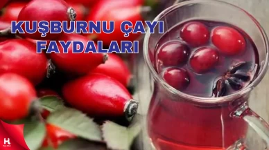 Kuşburnu Çayının Saymakla Bitmeyen Faydaları Nelerdir?