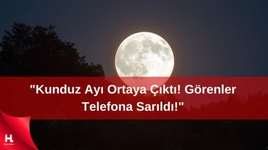 'Kunduz Ayısı Görenlerin Heyecan Dolu Anıları!'