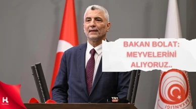 Bakan Bolat: Ekonomi programının meyvelerini alıyoruz