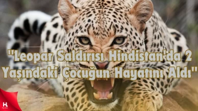 "2 Yaşındaki Çocuğa Bahçede Leopar Saldırdı: Feci Kaza!"