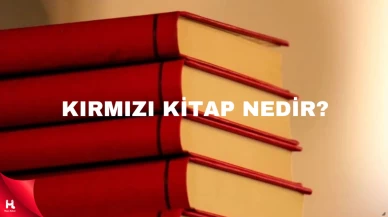 Kırmızı Kitap Nedir? Kitap Ne Zaman Hazır Olacak??