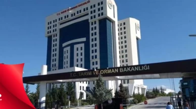 Tarım ve Orman Bakanlığı: Pestisit kullanım oranında...