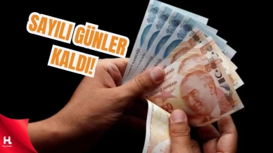 Aile Destek ödemeleri ne zaman yatacak?