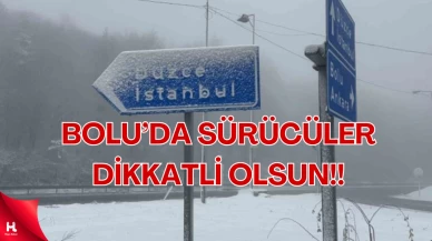 Bolu Dağı'nda Kar Yağışı ve Yoğun Sis Ulaşımı Olumsuz Etkiliyor!