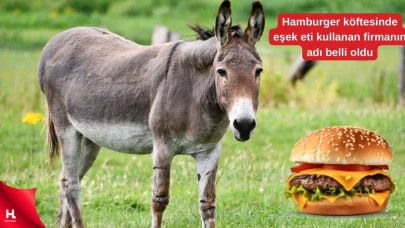 Eşek etiyle hamburger köftesi üreten firmanın adı ortaya çıktı!