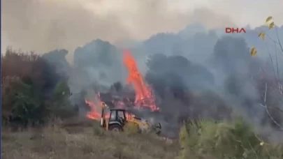 Çanakkale'de Orman Yangınıyla Mücadele Devam Ediyor!