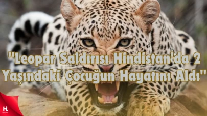 "2 Yaşındaki Çocuğa Bahçede Leopar Saldırdı: Feci Kaza!"