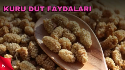 1 Avuç Kuru Dutun Şaşırtan Faydaları! Ve Zararları Neler?