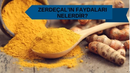 Zerdeçalın Faydaları: Bağışıklığı Güçlendiren Baharat!