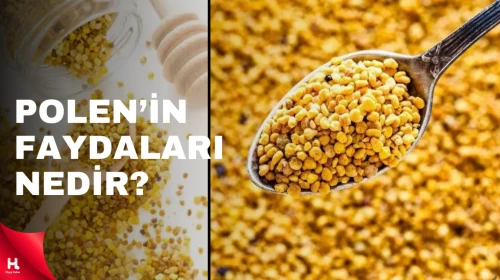 Polen nasıl yenir, tüketilir? Polenin faydaları nelerdir?