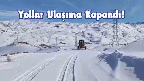 Aralıksız Yağan Kar'ın Kalınlığı 1 Metreye Ulaştı! Yollar Kapandı!