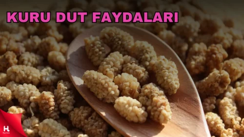 1 Avuç Kuru Dutun Şaşırtan Faydaları! Ve Zararları Neler?